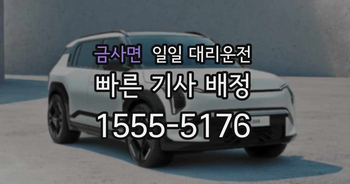 금사면 일일 대리운전