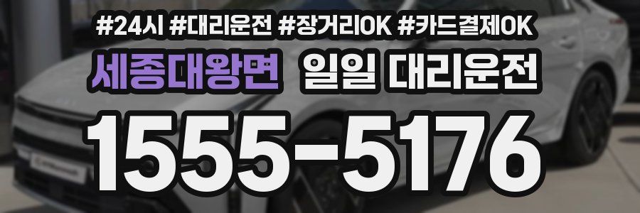 세종대왕면 일일 대리운전