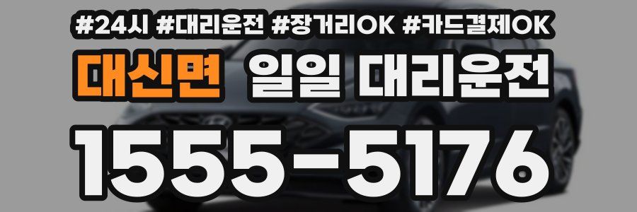 대신면 일일 대리운전