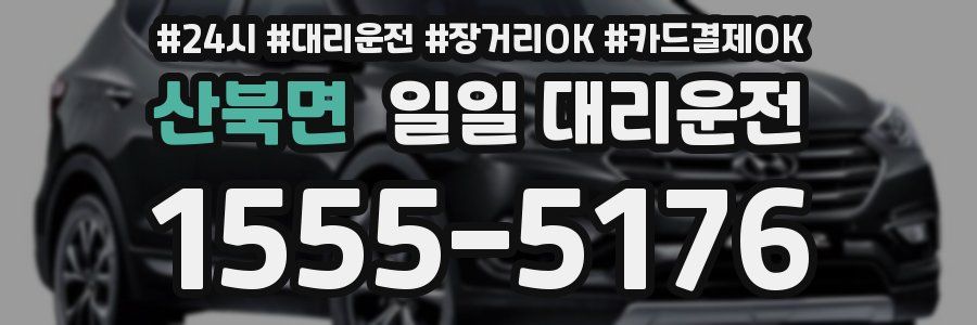 산북면 일일 대리운전