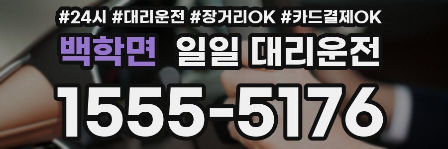 백학면 일일 대리운전