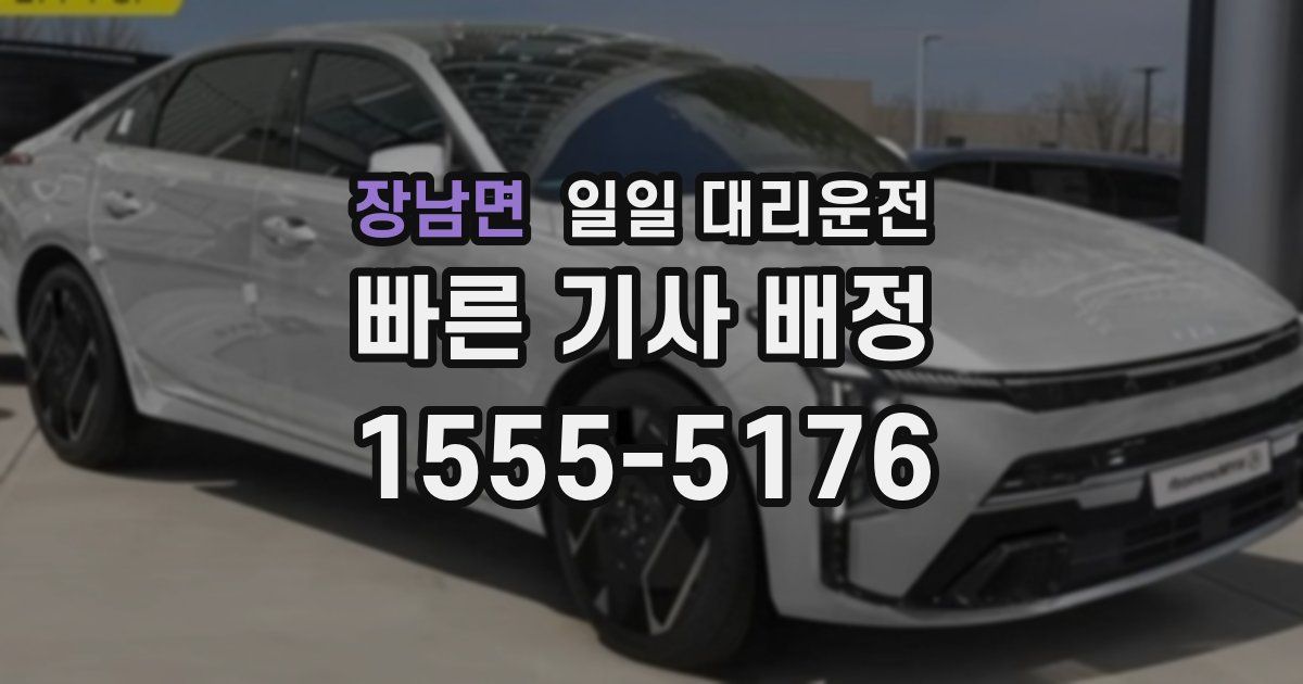 장남면 일일 대리운전