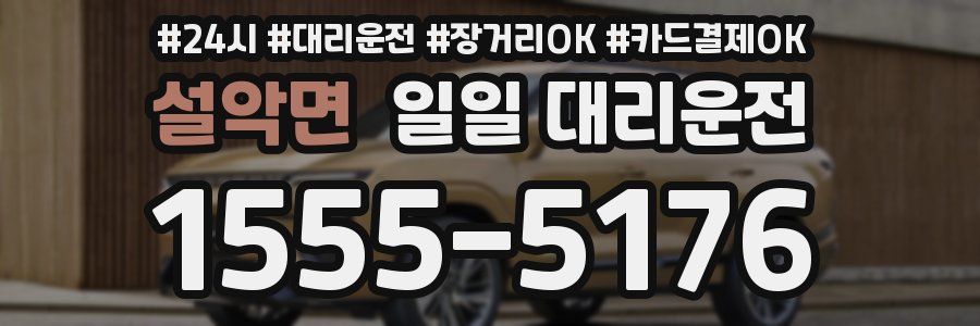 설악면 일일 대리운전