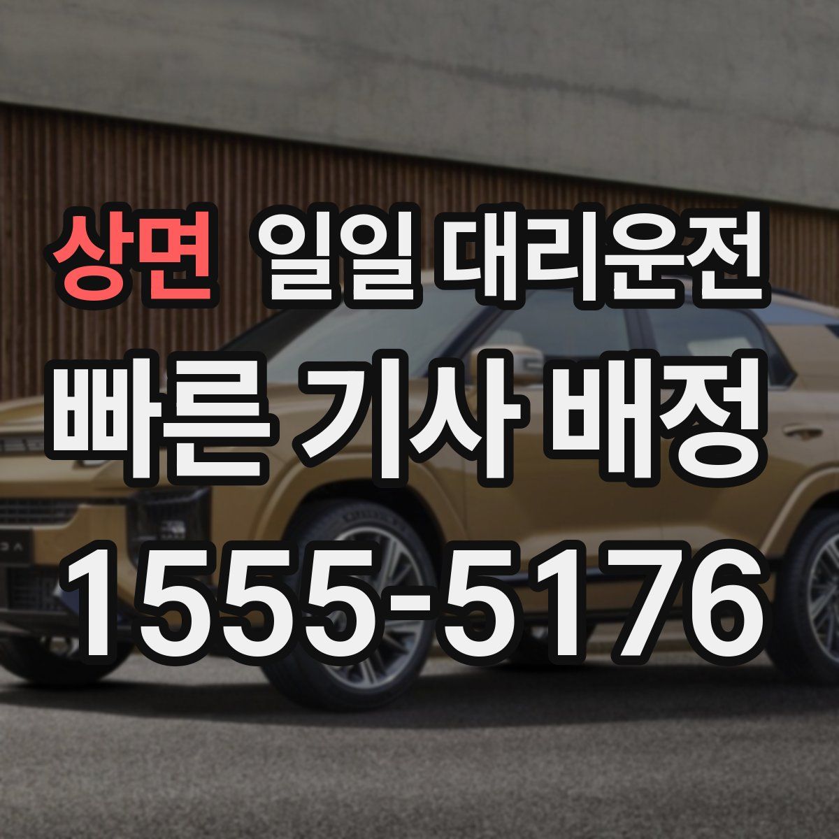 상면 일일 대리운전
