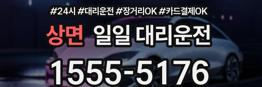 상면 일일 대리운전