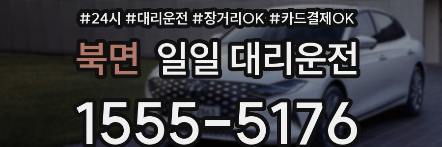 북면 일일 대리운전