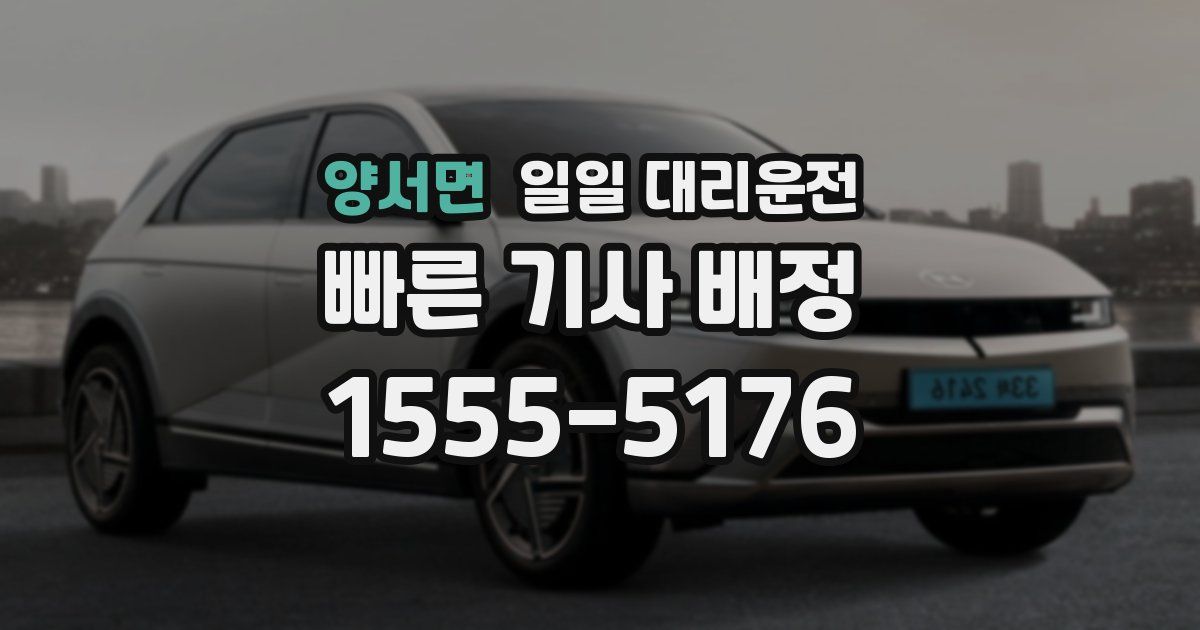 양서면 일일 대리운전