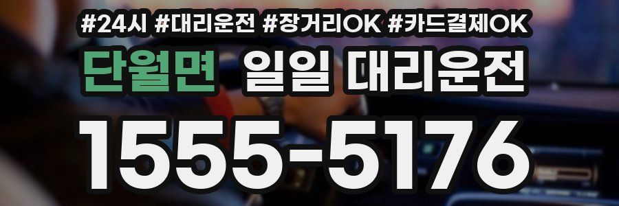 단월면 일일 대리운전
