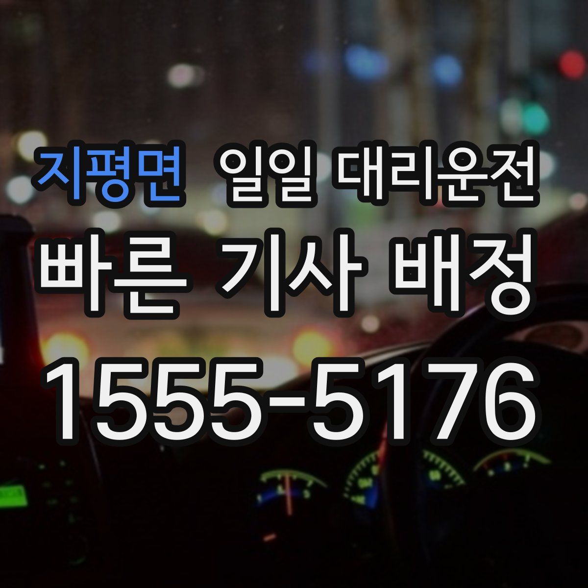지평면 일일 대리운전