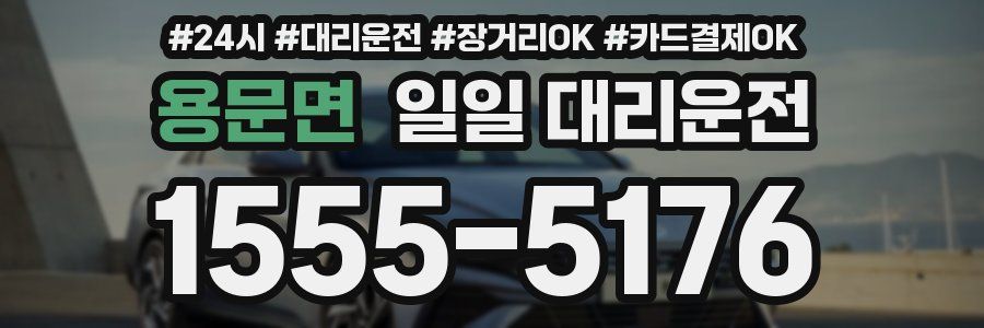 용문면 일일 대리운전