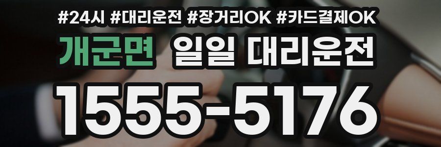 개군면 일일 대리운전