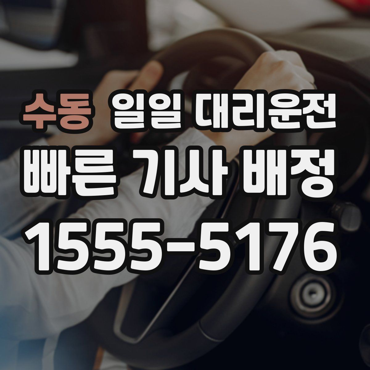 수동 일일 대리운전