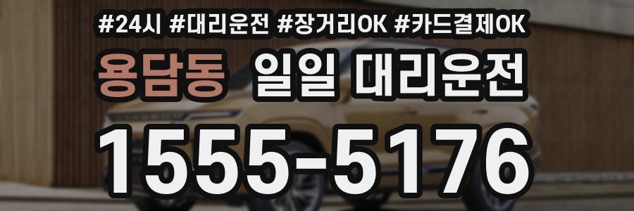 용담동 일일 대리운전