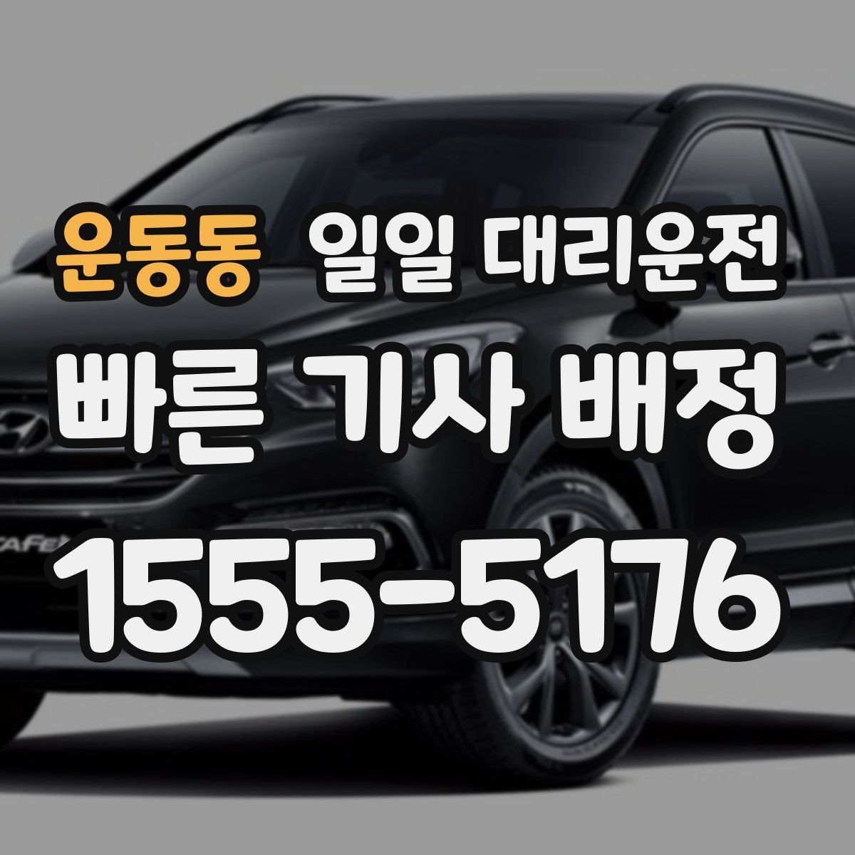 운동동 일일 대리운전
