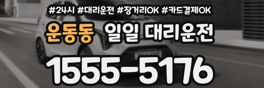 운동동 일일 대리운전