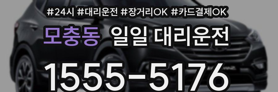 모충동 일일 대리운전