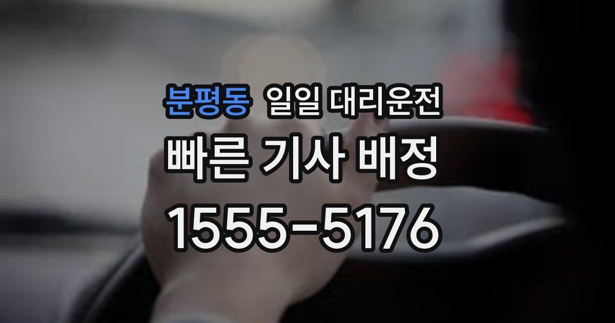 분평동 일일 대리운전