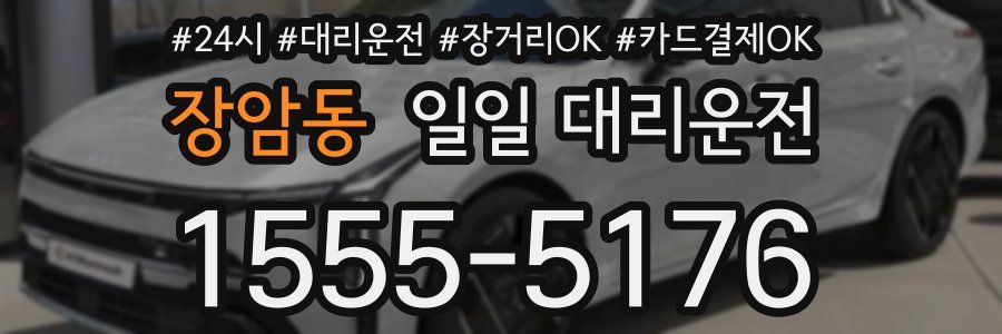 장암동 일일 대리운전