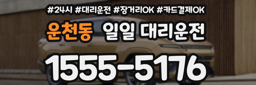 운천동 일일 대리운전