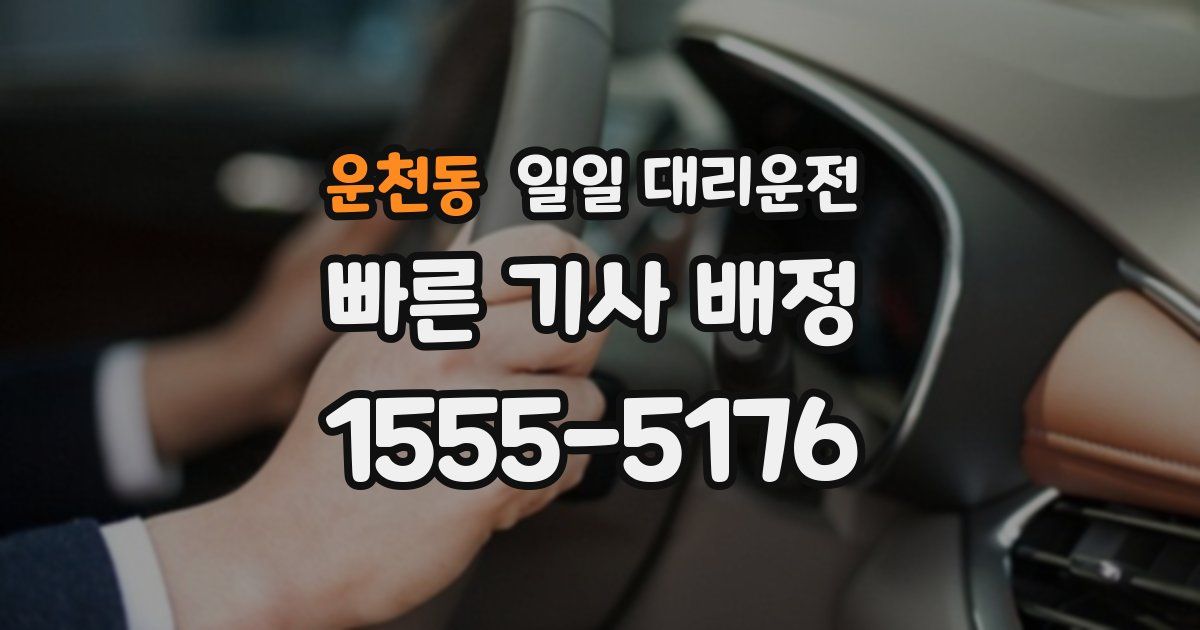 운천동 일일 대리운전
