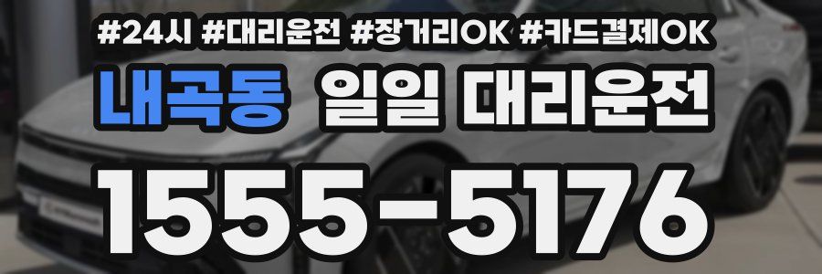 내곡동 일일 대리운전