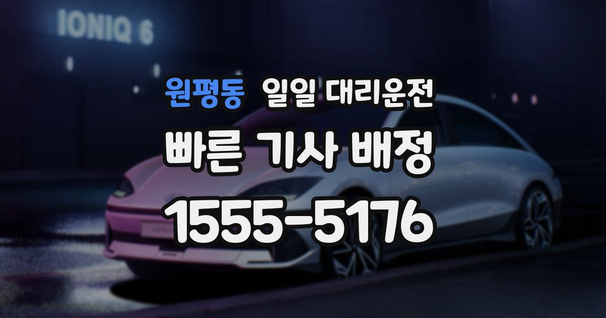 원평동 일일 대리운전