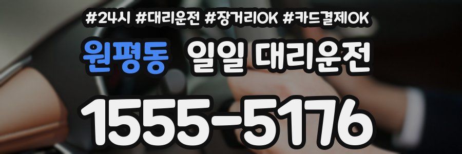 원평동 일일 대리운전