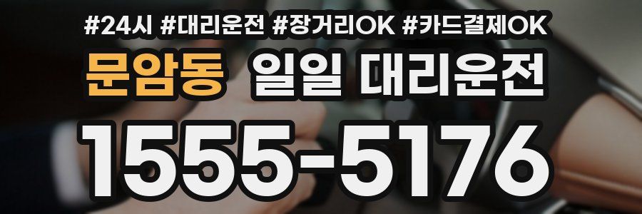 문암동 일일 대리운전