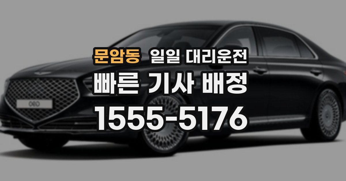 문암동 일일 대리운전