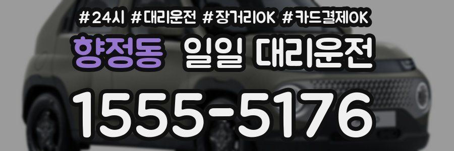 향정동 일일 대리운전