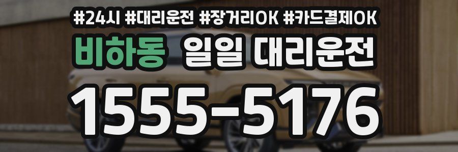 비하동 일일 대리운전