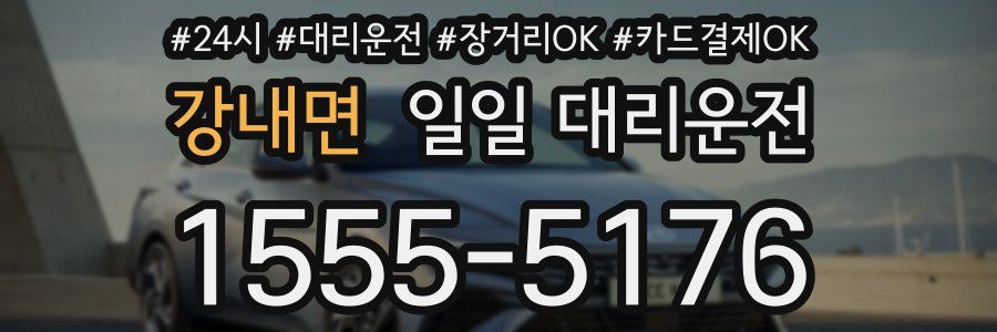 강내면 일일 대리운전