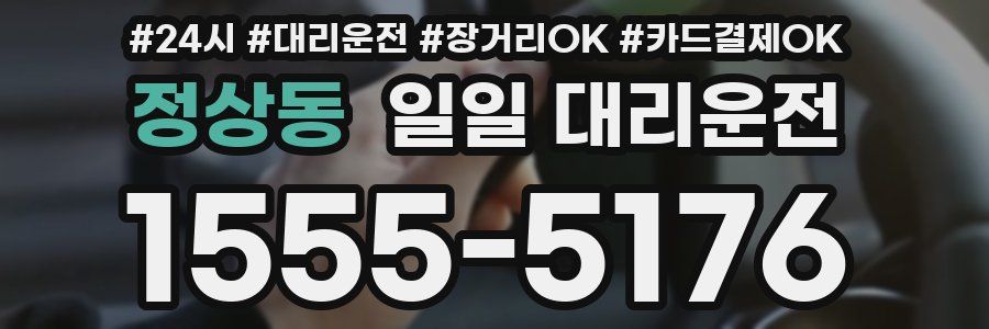 정상동 일일 대리운전