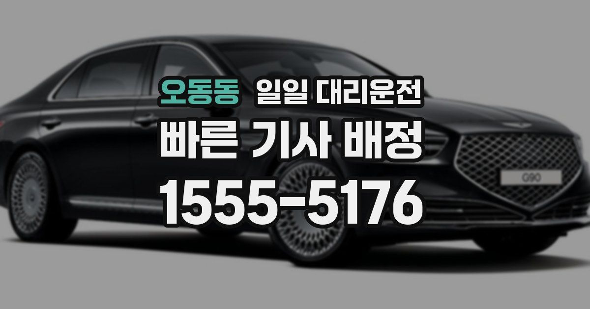 오동동 일일 대리운전