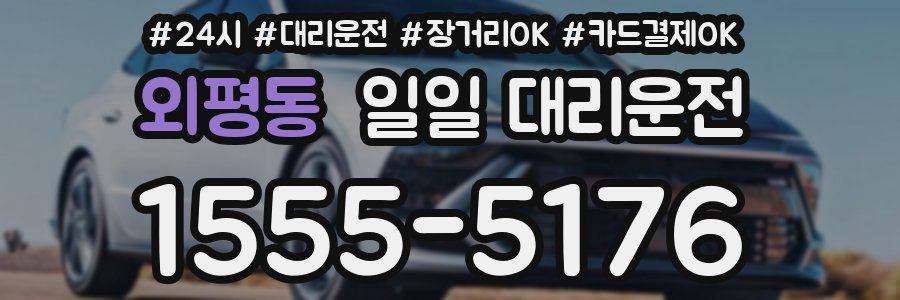 외평동 일일 대리운전