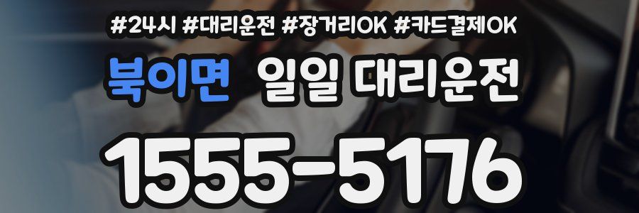 북이면 일일 대리운전