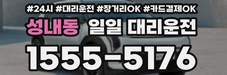 성내동 일일 대리운전