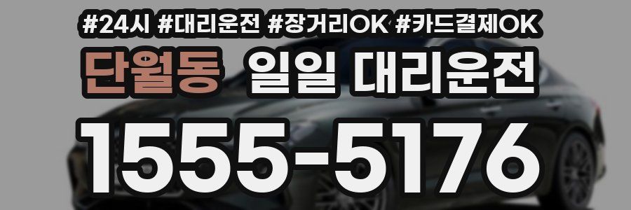 단월동 일일 대리운전
