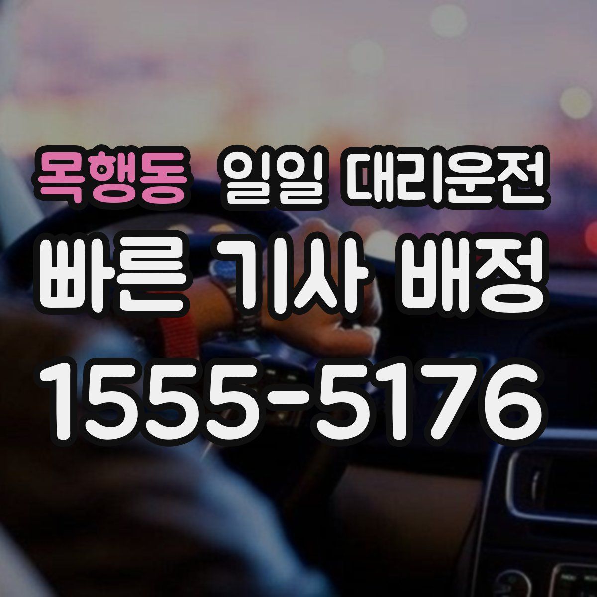 목행동 일일 대리운전