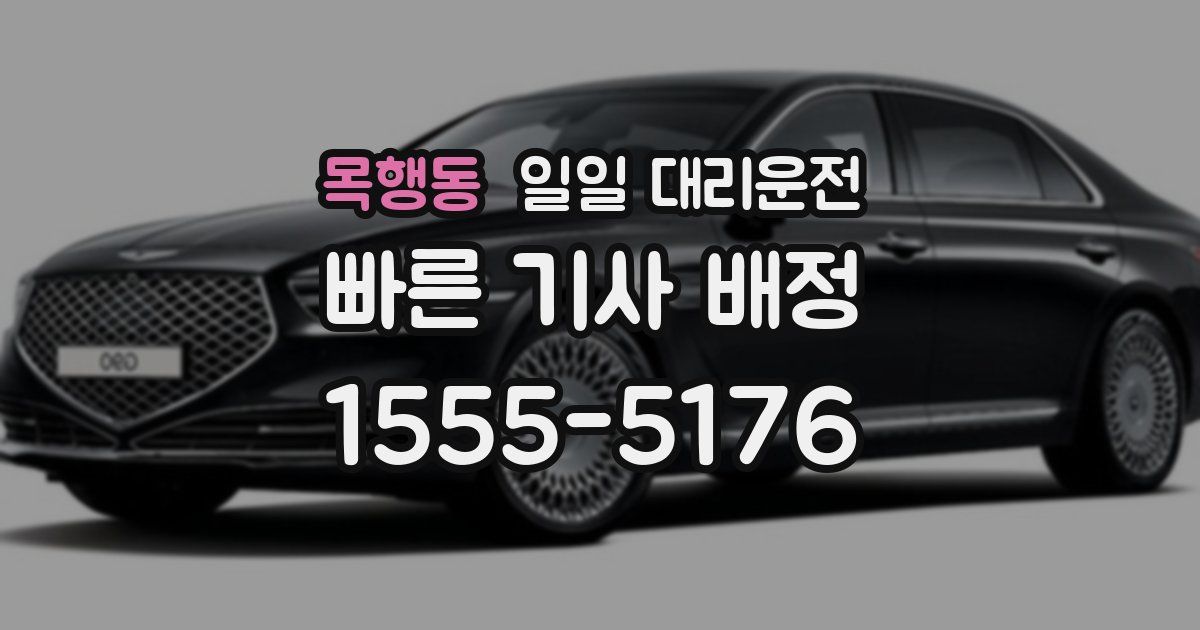 목행동 일일 대리운전