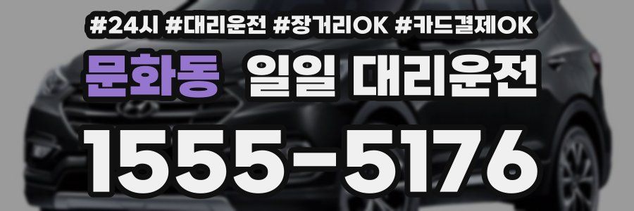 문화동 일일 대리운전