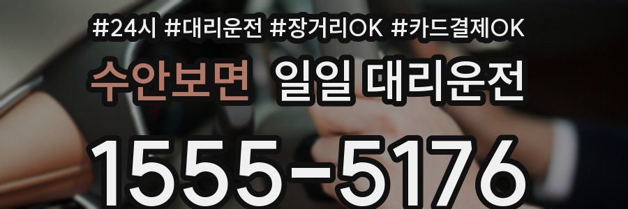 수안보면 일일 대리운전