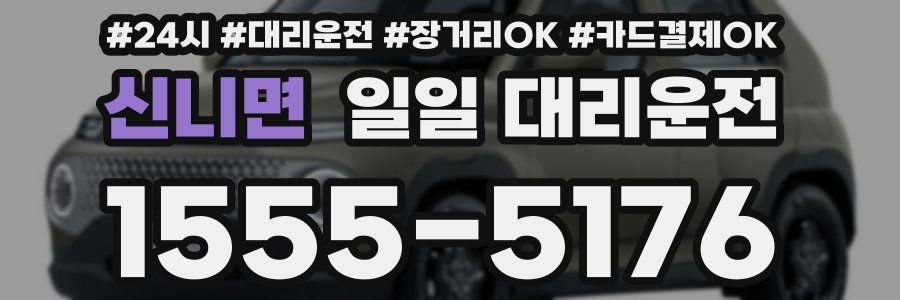 신니면 일일 대리운전