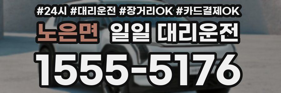 노은면 일일 대리운전
