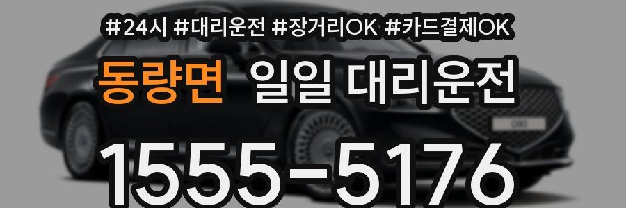 동량면 일일 대리운전