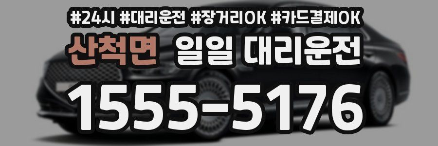 산척면 일일 대리운전