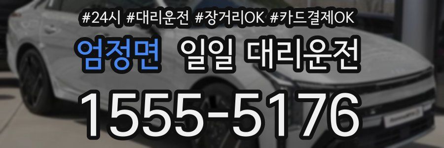 엄정면 일일 대리운전