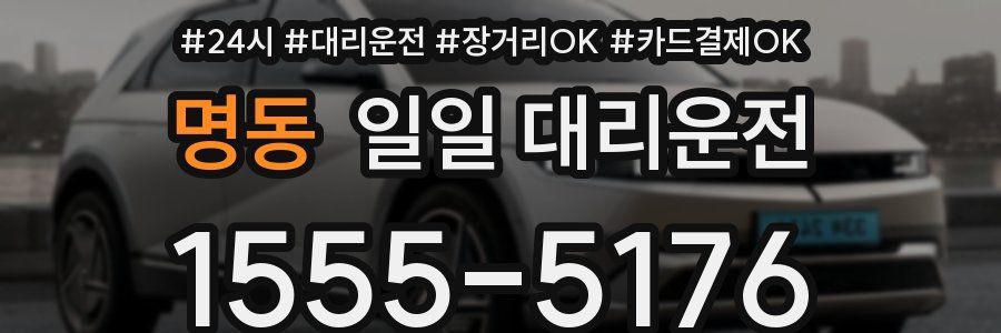 명동 일일 대리운전