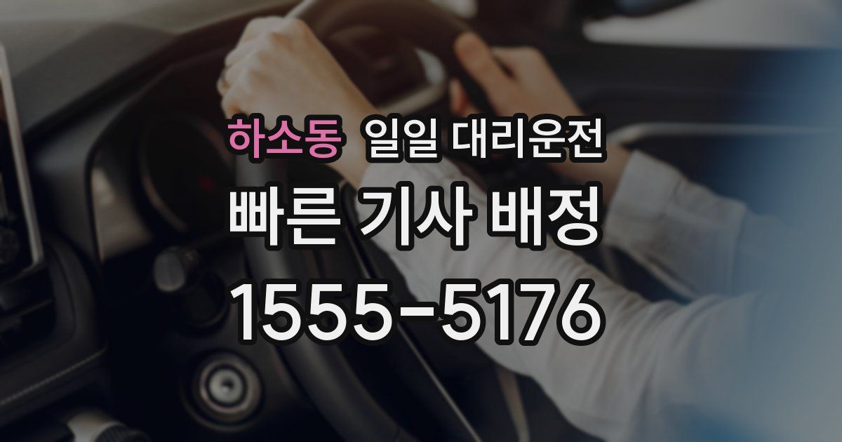 하소동 일일 대리운전