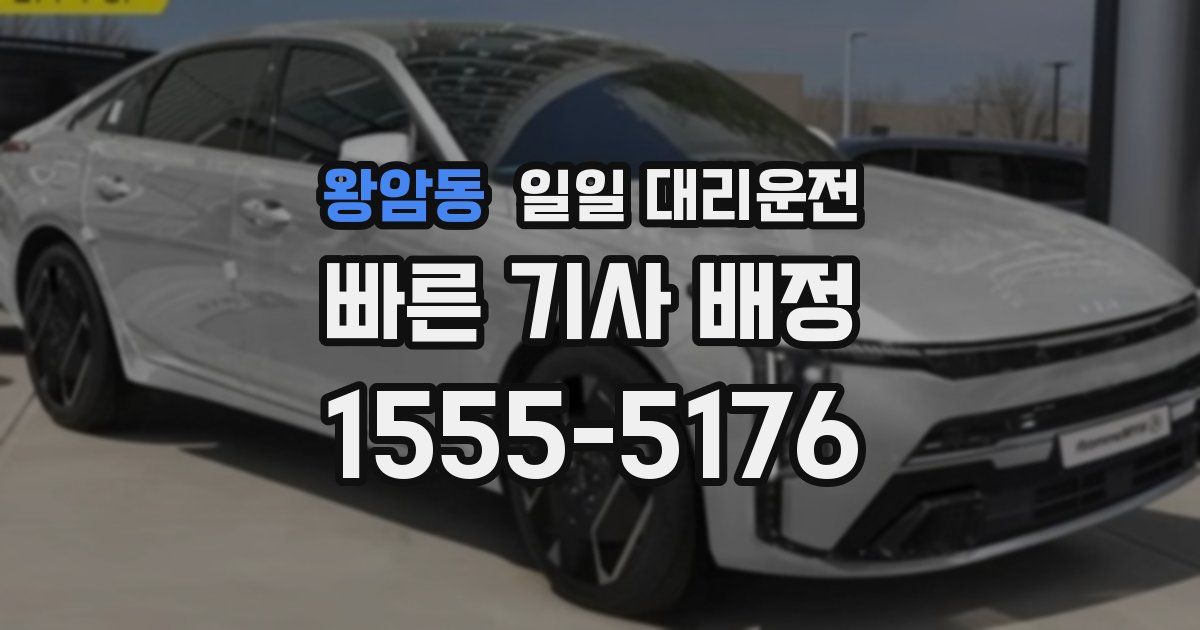 왕암동 일일 대리운전